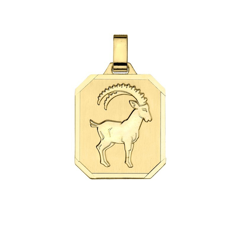 Sternzeichen Steinbock